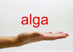 Image result for alga5