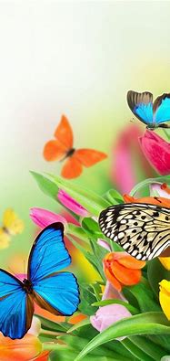 Image result for Blue Butterflies iPhone Wallpaper
