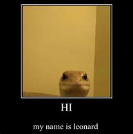Image result for Leonard The Lizard Meme