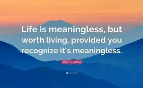 Image result for Meaningless Life Quotes