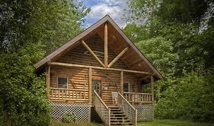 Image result for Wooden Cabin House in Forest