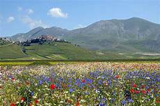 web castelluccio di norcia castelluccio a photo from perugia umbria trekearth web castelluccio di norcia castelluccio a photo from perugia umbria trekearth