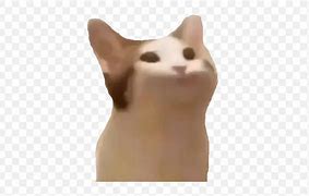 Image result for Cat with Headphones Icon