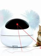Image result for Remote Control Cat Toy