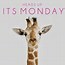 Image result for Crazy Monday Quotes