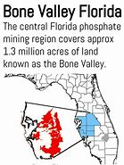 Image result for Phosphate Bone Valley