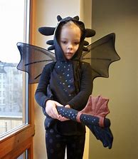 Image result for Stitch Toothless Costume