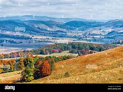 Image result for Rolling Hills of Fall Trees