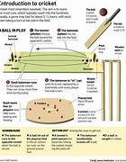 Image result for Cricket Rules