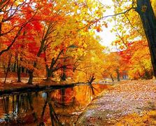 Image result for Autumn Background