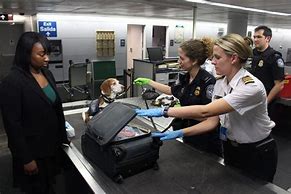 Image result for Customs Control