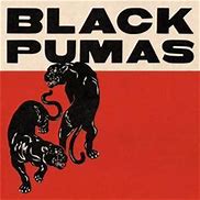 Image result for Black Pumas Album Cover