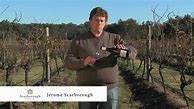 Image result for Scarborough Co Semillon White Label