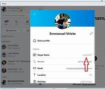 Image result for Where Can You Find Skype ID