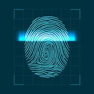 Image result for Basic Fingerprint Clip Art