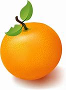 Image result for Orange Fruit Vector Clip Art