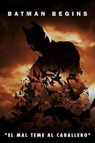 Image result for Batman Begins Cover