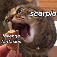 Image result for Scorpio Zodiac Sign Memes