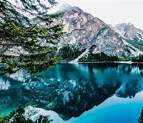 Image result for Nature Background Photos