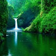 Image result for Nature iPhone Backgrounds