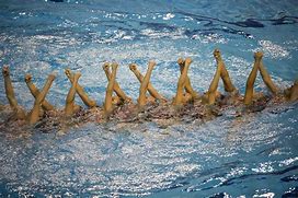 Image result for Fina Synchronized Swimming