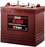 Image result for What Is the Best 6 Volt Golf Cart Battery