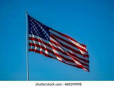 Image result for Shiny American Flag