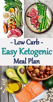 Image result for The Ultimate Keto Meal Plan Digistore24