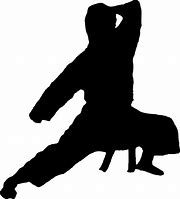 Image result for Different Types of Karate