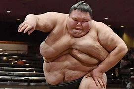 Image result for World's Biggest Sumo Wrestler