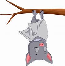 Image result for Bats Sleep Cartoon