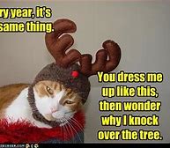 Image result for Merry Christmas Animal Meme