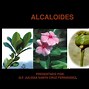 Image result for alcaloixe