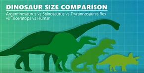 Image result for Dinosaur Size Comparison Chart