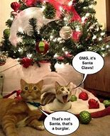 Image result for Santa Cat Meme