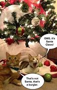Image result for Christmas Eve Animal Meme