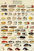 Image result for Fishing Lure Type Chart
