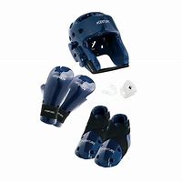 Image result for Martial Arts Sparring Gear
