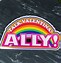 Image result for Straight Ally Memes