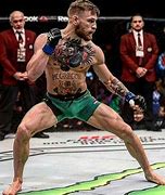 Image result for Top Fighting Styles