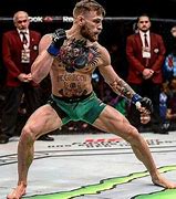 Image result for Fighter Fighting Styles