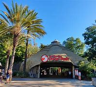 Image result for San Diego Safari Park