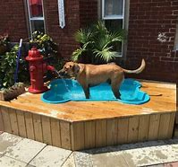Image result for Dog Playground Ideas