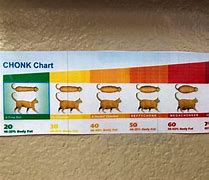 Image result for Chonker Graph