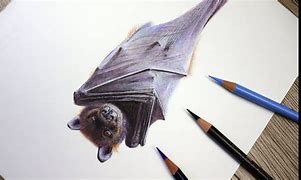 Image result for How to Draw a Bat with a Pencil