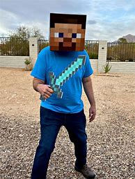 Image result for Minecraft Steve Costume