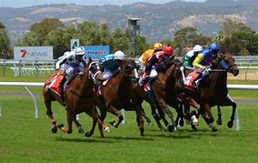 Image result for Horse Racing Dirt Track
