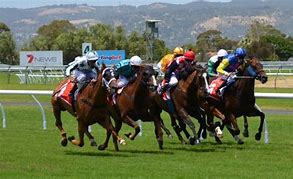 Image result for Non Copyright Images Free Horse Racing
