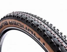 Image result for Schwalbe Tires 29