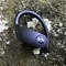 Image result for PowerBeats Pro 3